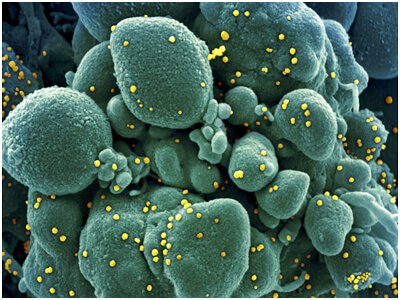 Making a Difference in the midst of the Pandemic
