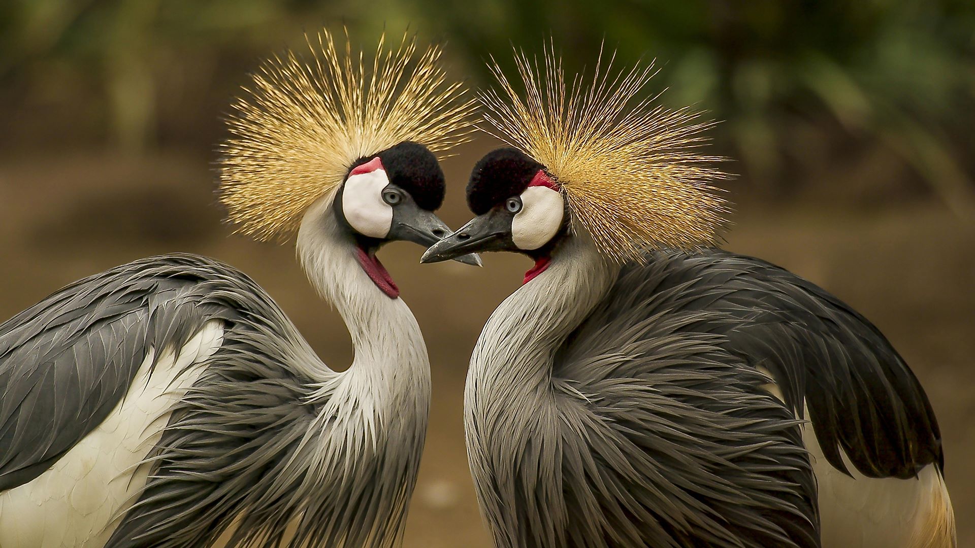 Discover the joy of your own being